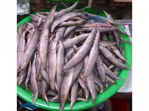 thực phẩm