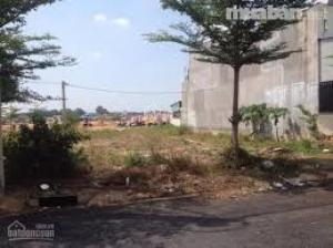bất động sản
