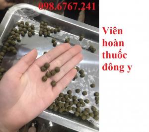 Máy làm viên thuốc đông y, máy vo viên DZ20