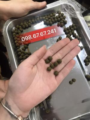 Máy làm viên thuốc đông y, máy vo viên DZ20