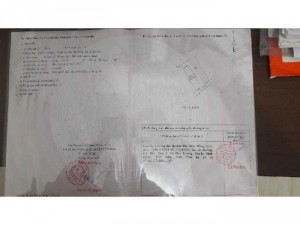 Bán đất Hữu Thạnh Đức Hòa Long An giá rẻ