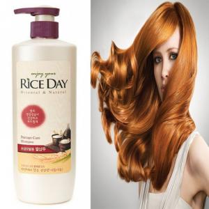 Dầu Gội Ngũ Cốc Trị Gàu Dành Cho Tóc Hư Tổn ENJOY YOUR RICE DAY Hàn Quốc