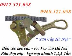 Cóc kẹp cáp 1/2/3 tấn rẻ bán Hà Nội