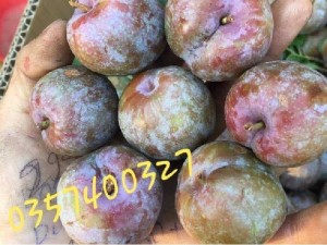 Mận hậu