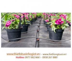 tưới nhỏ giọt, đầu tưới nhỏ giọt, béc tưới nhỏ giọt, dây tưới nhỏ giọt, đầu tưới nhỏ giọt hà nội,