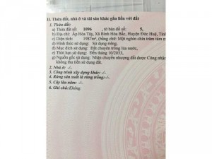 can ban gap đạt tinh lo 839 qua cau mo heo