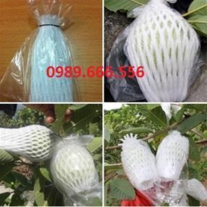 Bọc trái cây