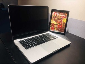 Macbook Pro - 13” - MD313