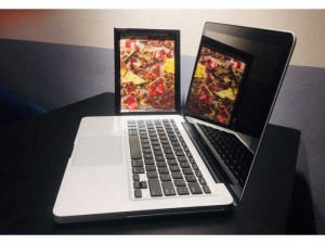 Macbook Pro - 13” - MD313
