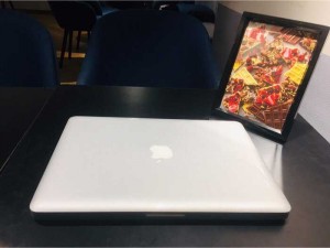 Macbook Pro - 13” - MD313