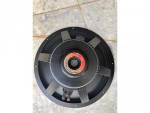 Bas 40 col 75. Nhện Vàng
