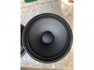 Bas 40 col 75. Nhện Vàng