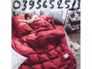 chăn chần bông cotton ticl