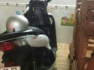 Cần ra con sh nhe ae