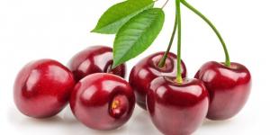 Cây giống Cherry Brazil - chuẩn giống - hvnn vn