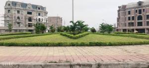 khu đô thị kì đồng dragon city