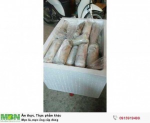 Mực lá, mực ống cấp đông