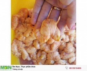 Trứng cá sặc