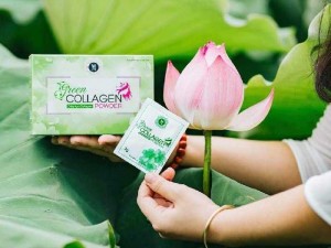 Diệp Lục collagen