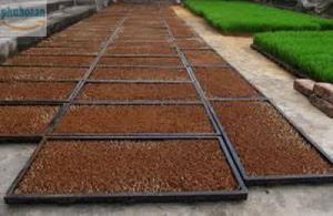 Cung cấp khay gieo mạ Phú Hòa An số lượng lớn giá rẻ