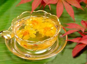 Cây giống trà hoa vàng - giống cây dược liệu