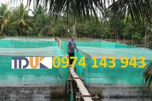 Lưới nuôi trồng thủy sản tại Nha Trang