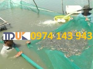 Lưới nuôi trồng thủy sản tại Nha Trang