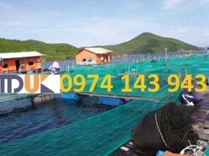 Lưới nuôi trồng thủy sản tại Nha Trang