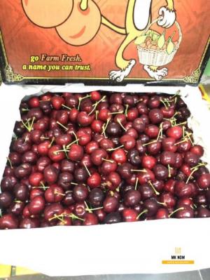 Cherry Mỹ - Cherry Smiling Monkey
