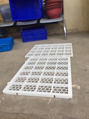Bán buôn tấm lót vịt 50x60 Phú Hòa An giá rẻ