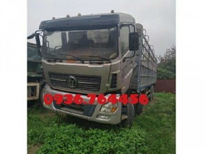Ngân hàng bán đấu giá xe Trường Giang