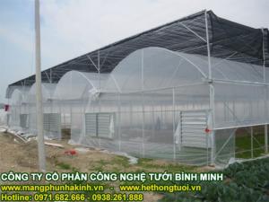 Mô hình nhà lưới giá rẻ