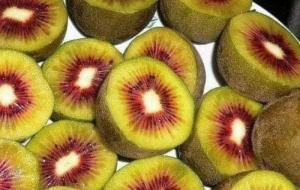 Kiwi ruột vàng , đỏ, xanh