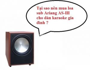 Loa Sub Arirang AS III sản phẩm chính hãng giá tầm trung đáng mua sắm