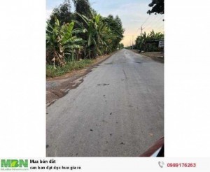 Cần bán đát Đức Huệ