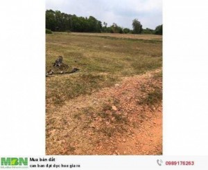 Cần bán đát Đức Huệ