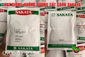 huong duong sakata 1000 hat