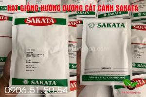 Hướng Dương Sakata Gói 1000 Hạt