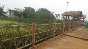 mẫu gian hàng hội chợ quê
0901 070 080