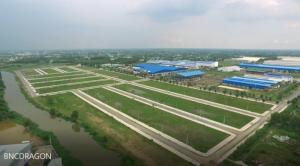 Bán Đất Khu Công Nghiệp Cầu Tràm.