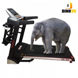 Máy chạy bộ điện Viking VK-A4 tại Hưng Yên, Hải Phòng