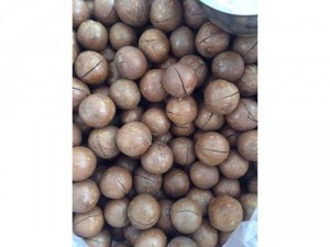 Hạt mắc ca 100% Tây Nguyên nứt vỏ tự nhiên size lớn 22-25mm
