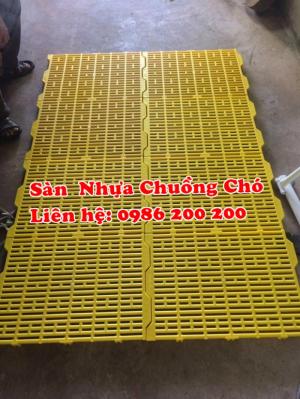 tấm nhựa lót sàn chó