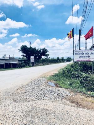 Đất tại Hàm Tân Bình Thuận chỉ 290 triệu/ 1000m2