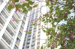 Căn hộ số 02 toà CT1A chung cư Mon City , Nam Từ Liêm