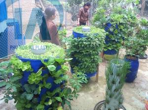 Bán buôn và sỉ tháp trồng rau Phú Hòa An số lượng lớn giá rẻ