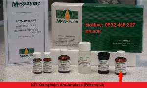 Bộ kit xét nghiệm β-Amylase MEGAZYME trong bột mạch nha