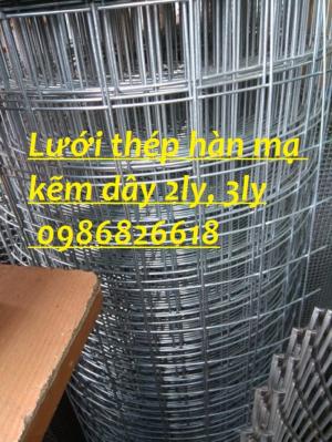 Kho lưới thép hàn mạ kẽm dây 2ly, 3ly dạng cuộn hàng có sẵn
