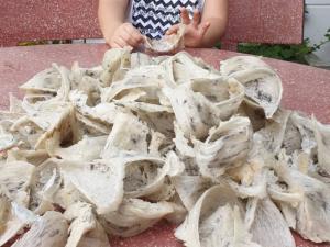 Tổ yến thô nguyên chất, mới thu hoạch - chưa qua sơ chế loại 1 - Yến sào Mỹ An (100g)
