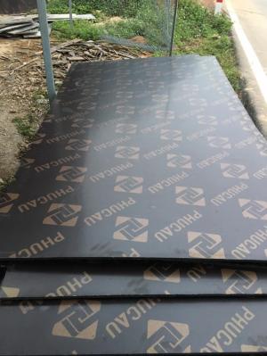 cốt pha phủ phim,ván ép phủ phim giá rẻ trên thị trường